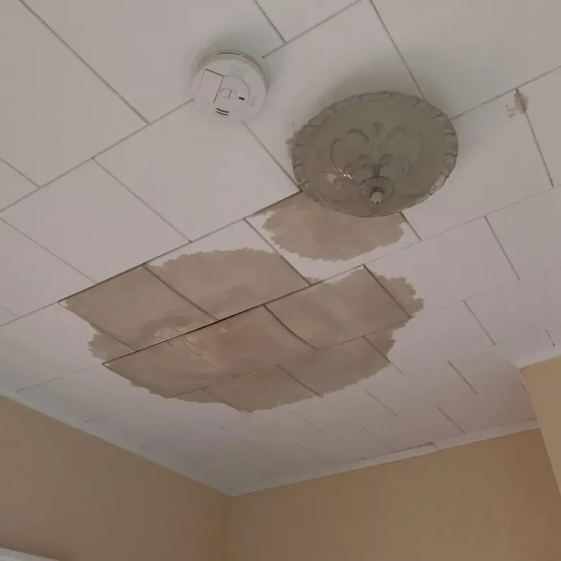 Ceiling Water Damage Repair in East Baton Rouge Parish, LA
