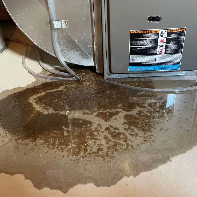 Pipe Burst and Leak Restoration in East Baton Rouge Parish, LA